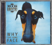 Why The Long Face (US) Front Cover