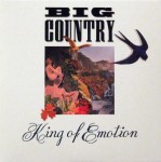 King Of Emotion CD Single