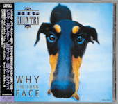 Why The Long Face Front Cover
