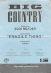 Fragile Thing Flyer (A5 / 21x14.85cm)